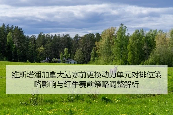 wei-si-ta-pan-jia-na-da-zhan-sai-qian-geng-huan-dong-li-dan-yuan-dui-pai-wei-ce-lve-ying-xiang-yu-hong-niu-sai-qian-ce-2-713.jpg